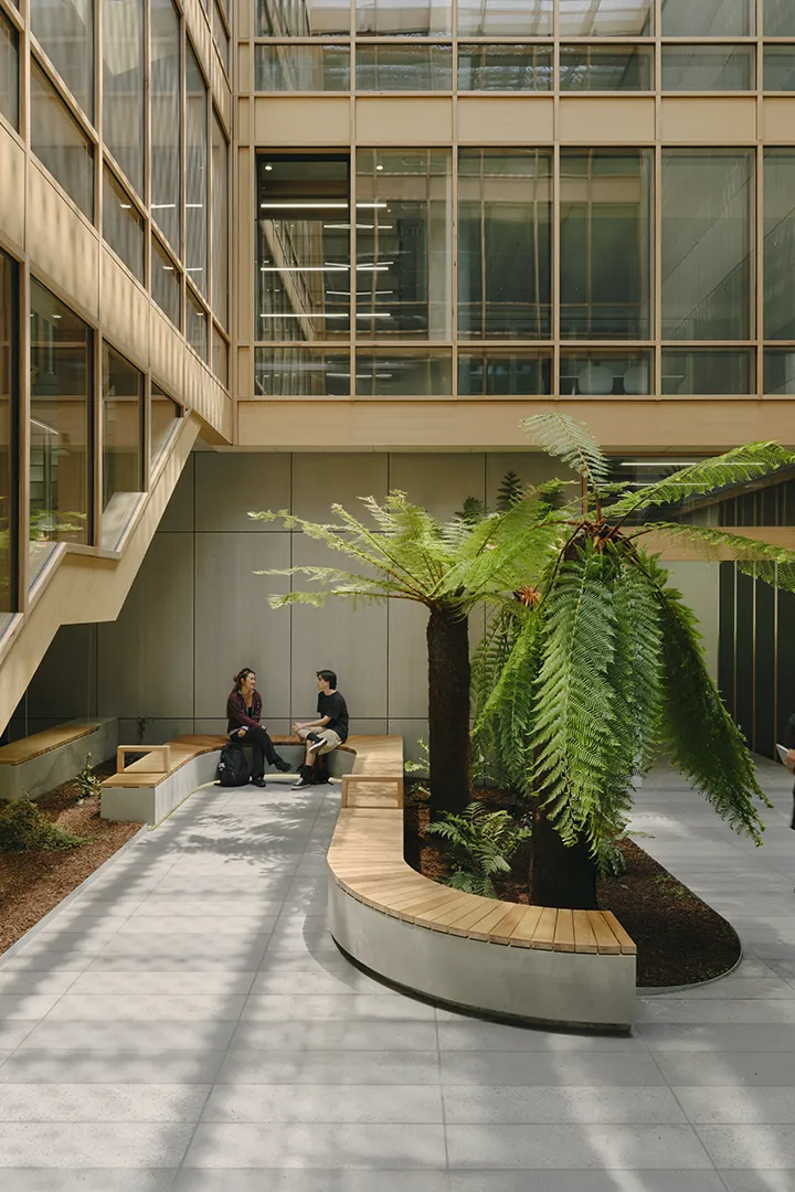 Central atrium featuring indoor trees, built-in seating, and informal meeting spaces surrounded by glazed work areas.