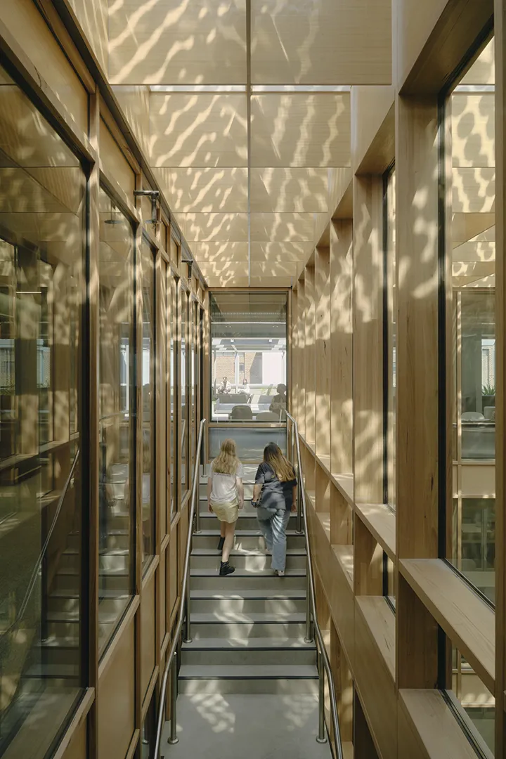Internal stairway with timber-lined walls, large windows, and patterned natural light filtering through the space.