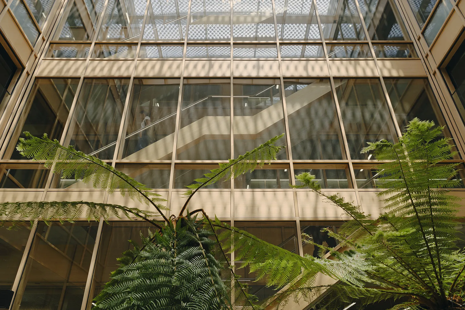 Central atrium with indoor trees, glazed walkways, and natural light filtering through the building’s shared spaces.