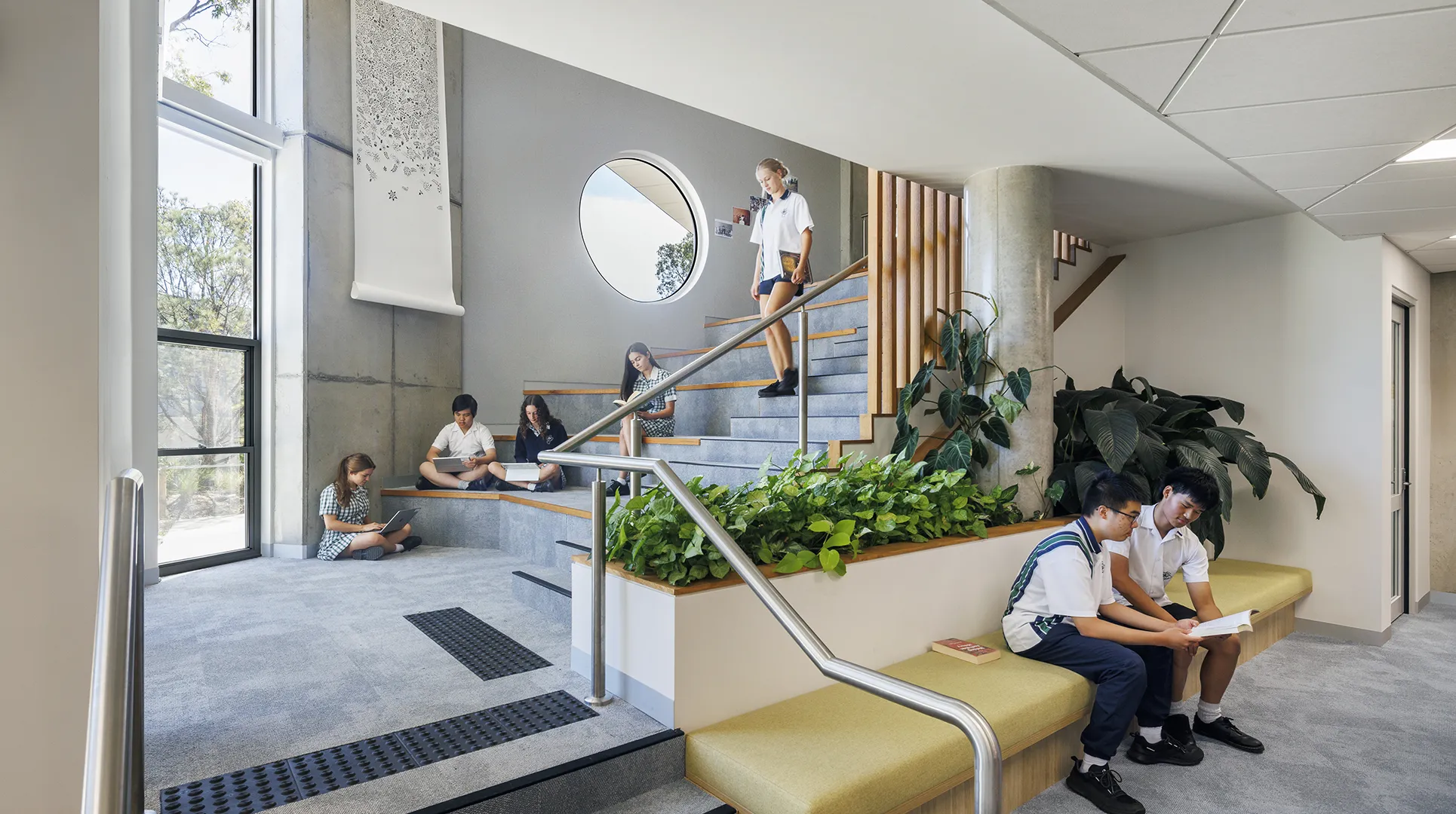 Students studying and meeting in a shared learning area with integrated seating, indoor planting, and natural light.