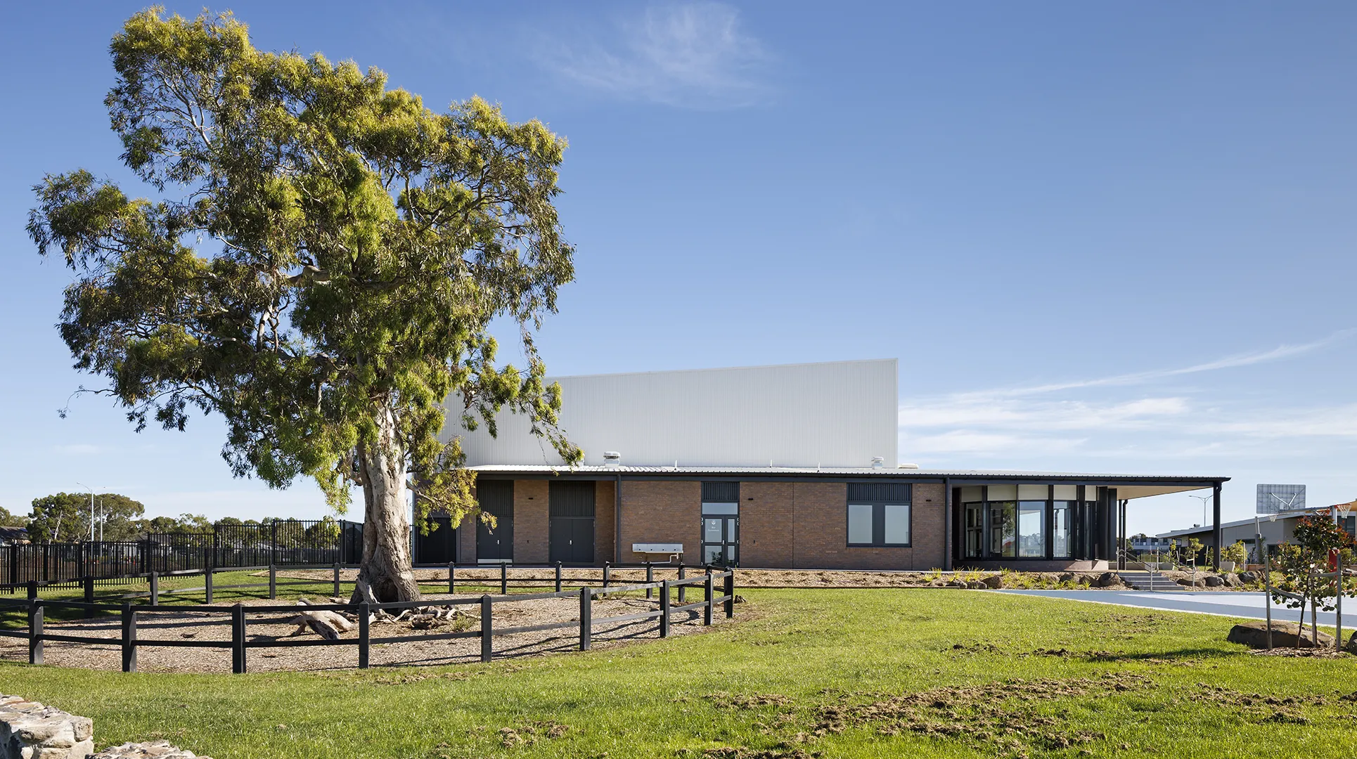 Large tree within a landscaped outdoor area beside a school building and open lawn.
