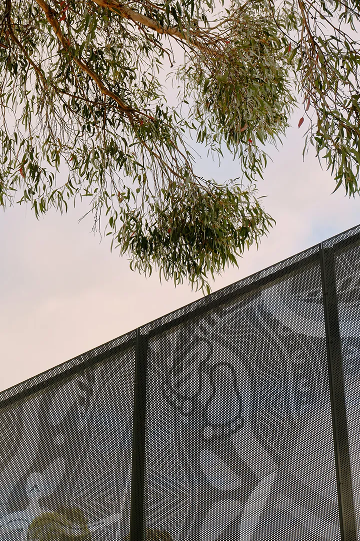 Exterior screen featuring integrated artwork panels and mature trees within the landscaped grounds surrounding the STEAM Centre.